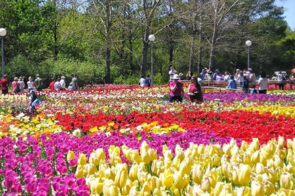 Làng Hoa Vạn Thành Đà Lạt